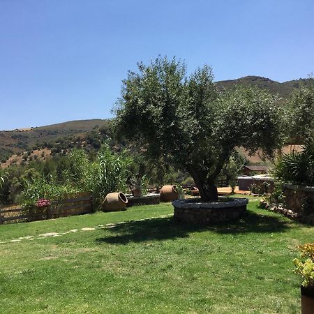 Il Giardino Di Daniela Bed & Breakfast San Teodoro  Ngoại thất bức ảnh