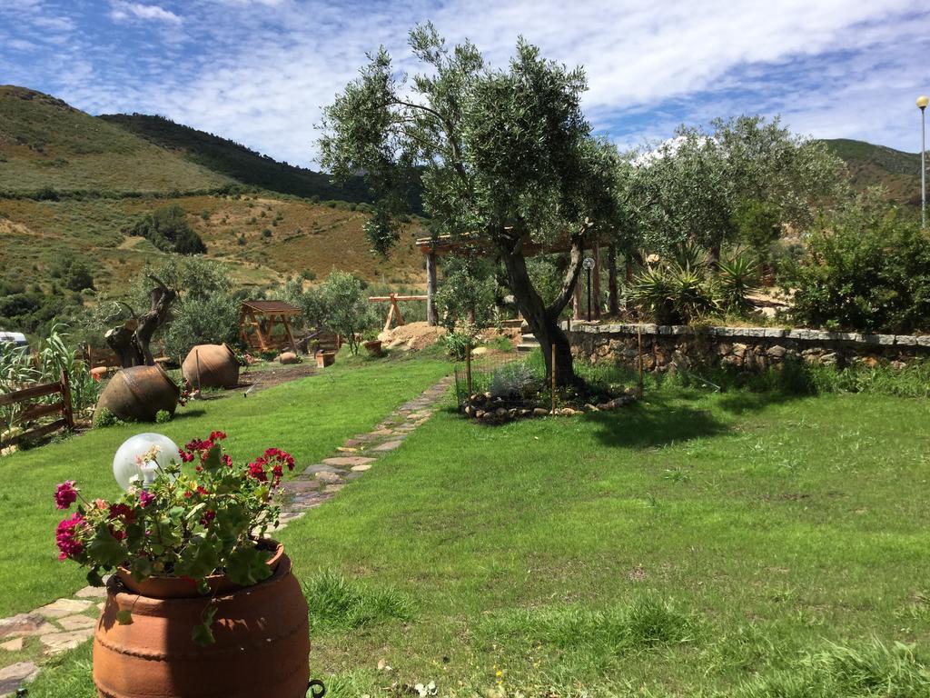 Il Giardino Di Daniela Bed & Breakfast San Teodoro  Ngoại thất bức ảnh