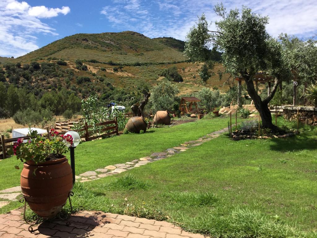 Il Giardino Di Daniela Bed & Breakfast San Teodoro  Ngoại thất bức ảnh