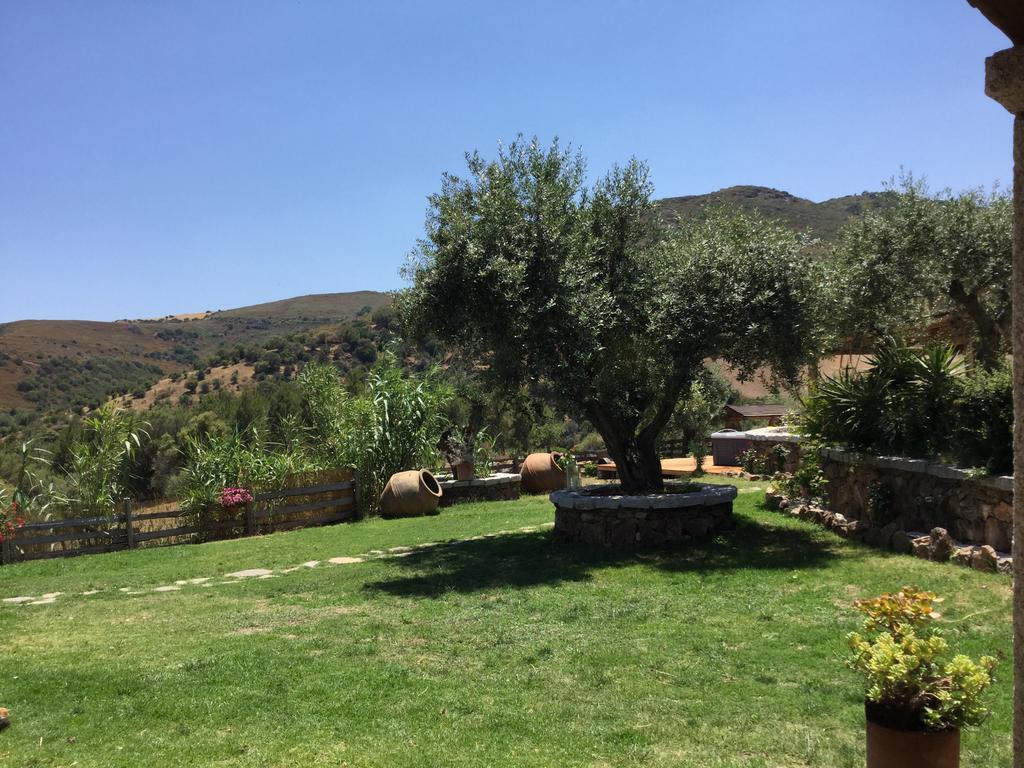 Il Giardino Di Daniela Bed & Breakfast San Teodoro  Ngoại thất bức ảnh